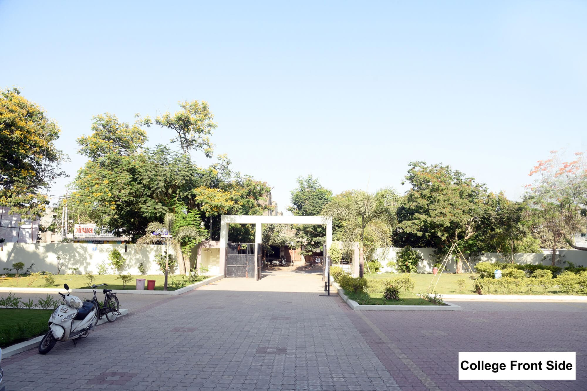 Our College