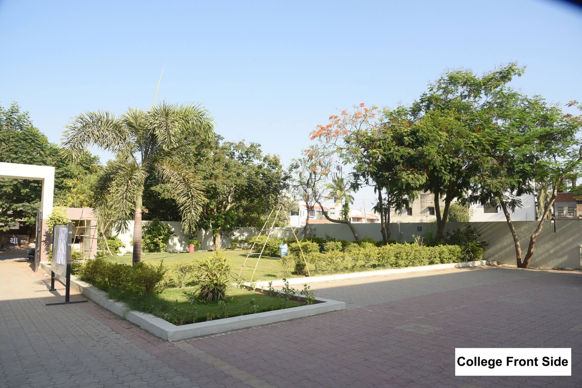 Our College image 3